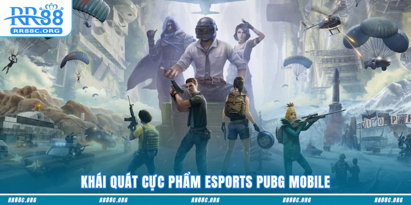 Khái quát cực phẩm Esports PUBG Mobile